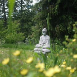 Posąg Buddy na piedestale na łące z żółtymi kwiatami kwitnącymi na pierwszym planie.