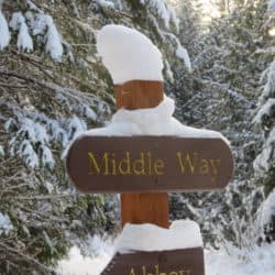 Wooden signs on a post covered in snow in the forest read "Middle Way" and "Abbey."