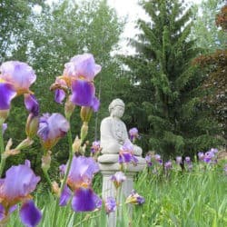 A buddha statue on a pedestal in the grass with purple irises in the foreground.