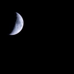 Half a moon in the night sky.