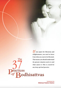 Okładka komentarza Czcigodnego Chodrona do „Trzydziestu siedmiu praktyk bodhisattwów”