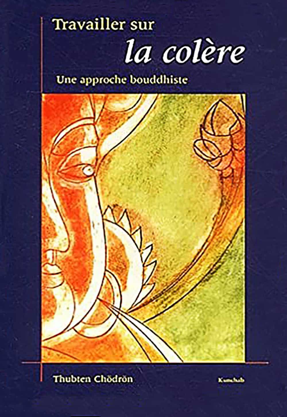 Cover of Working with Anger in French
