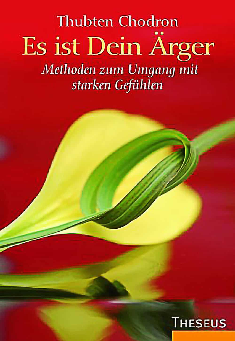Cover of Working with Anger in German