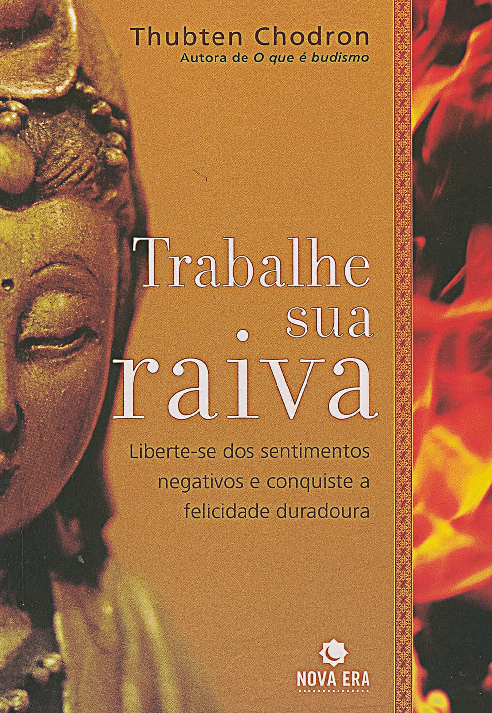 Cover of Working with Anger in Portuguese