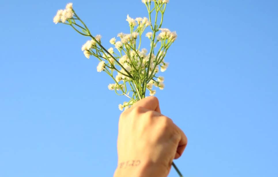 Hand holding white wildflowers against blue sky.