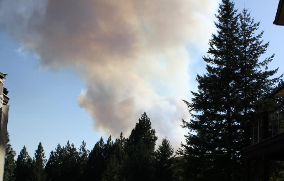 Smoke billowing behind a silhouette of trees.