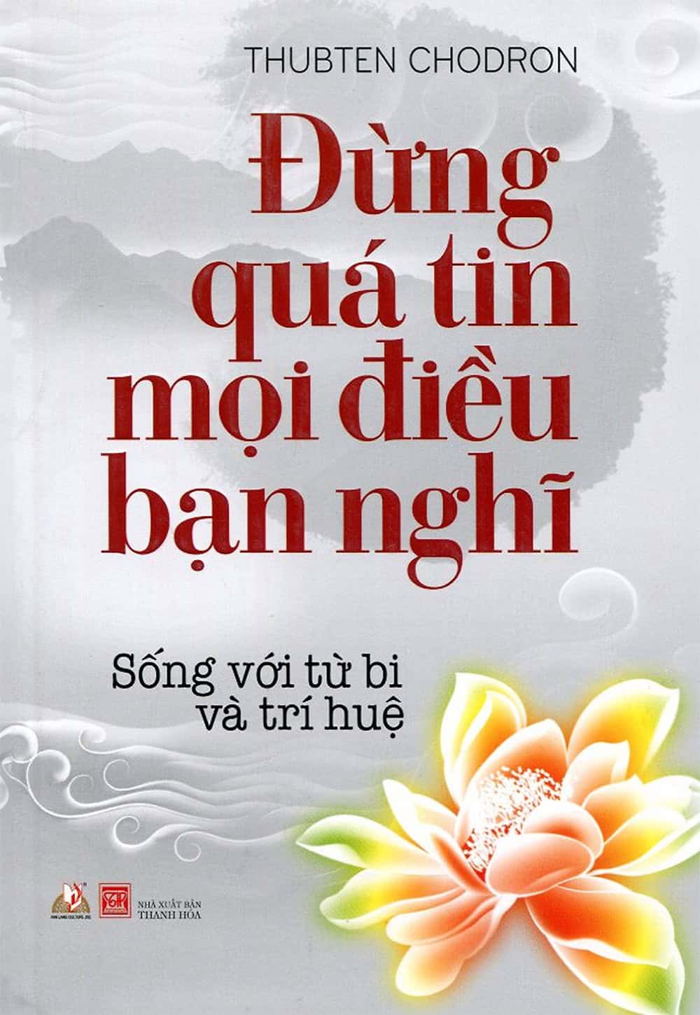 Cover of Vietnamese translation of "Don't Believe Everything You Think"