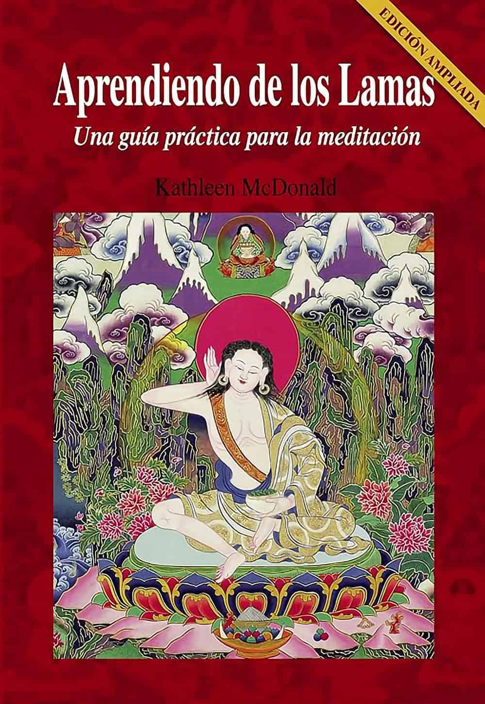 Book cover of the Spanish translation