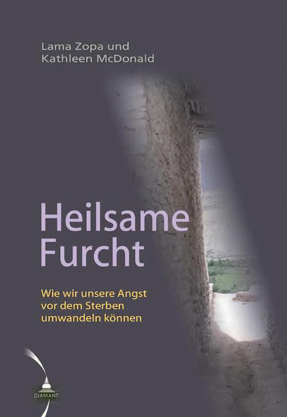 Book cover of the German translation