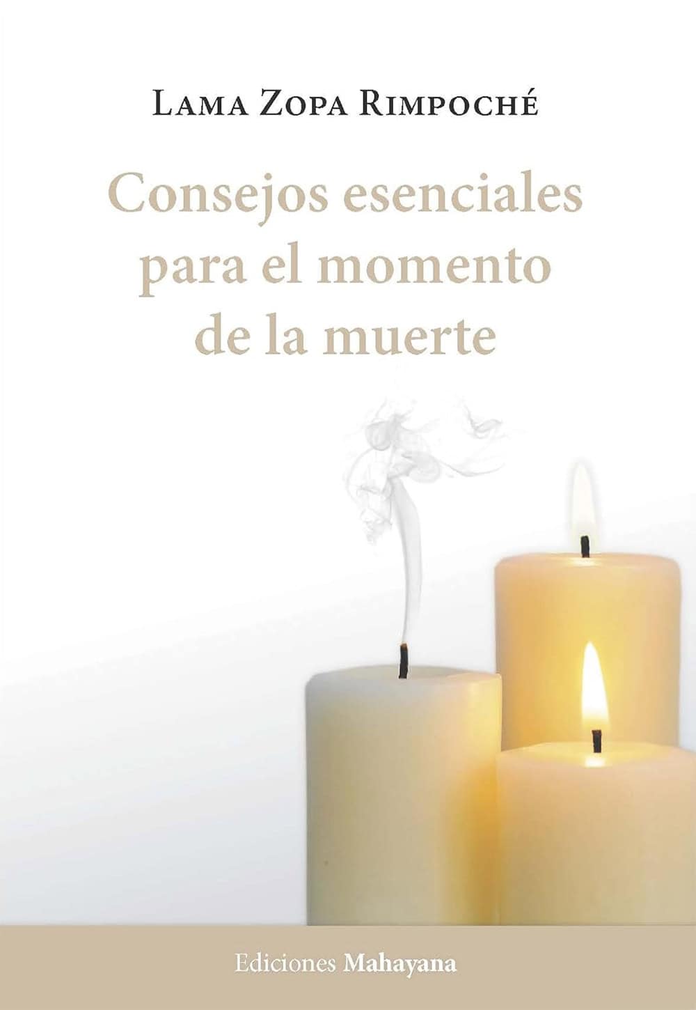 Book cover of the Spanish translation